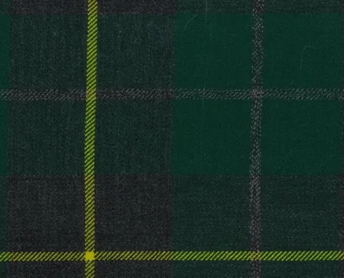 Wallace Hebridean Tartan Sample Square